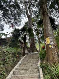 走讀阿里山林道鐵路的百年風華～奮起湖站到十字路站