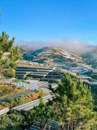 THE CAMP VILLE DALAT 