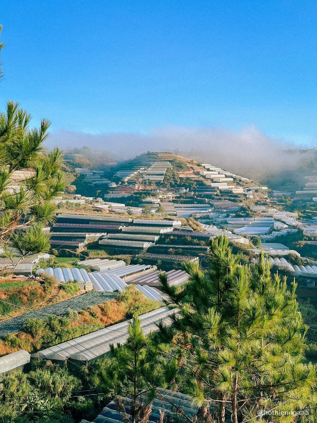 THE CAMP VILLE DALAT 