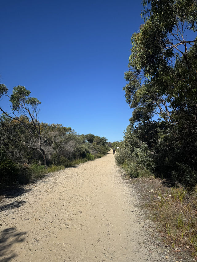 【シドニー】電車とフェリーで行ける大自然！Royal National Park で癒しのトレイル旅