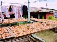 🐟 Kg Pukat Fisherman Village: Where the Sea Breeze & Salted Fish Tell Stories!🌊