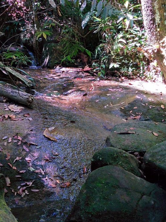 Gunung Ledang: Where Waterfalls Whisper & Your Thighs Scream" 🏔️💦