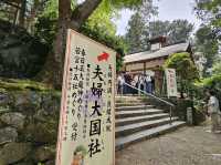 奈良~親親大自然，探訪可愛小鹿和歷史文化遺產的地方。