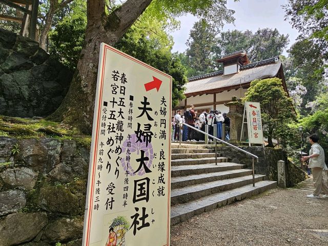 奈良~親親大自然，探訪可愛小鹿和歷史文化遺產的地方。