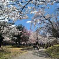 Komoro Kaikoen Park, Nagano
