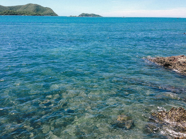 แสมสาร…ที่คิดถึง🌊
