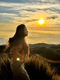 From Forest Trails to Cloudy Peaks: Mt. Pulag Magic