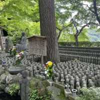 【鎌倉】花の寺として親しまれている長谷寺 見所満載