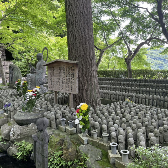 【鎌倉】花の寺として親しまれている長谷寺 見所満載