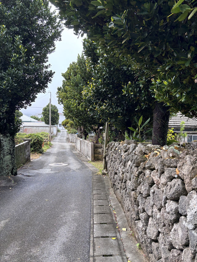 遺世獨立的離島