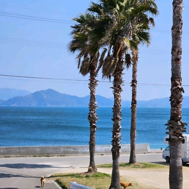 今治市の春の絶景を楽しもう