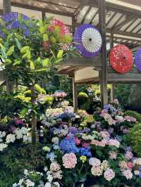 【栃木】境内には思考を凝らしたフォトスポットがたくさん！！