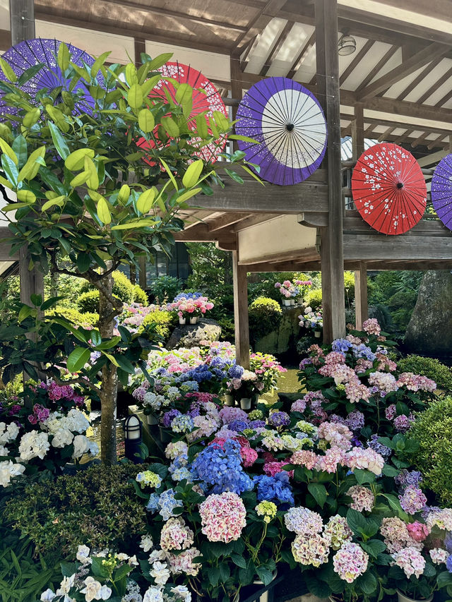 【栃木】境内には思考を凝らしたフォトスポットがたくさん！！