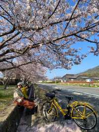 島波海道-尾道到今治的自行車道
