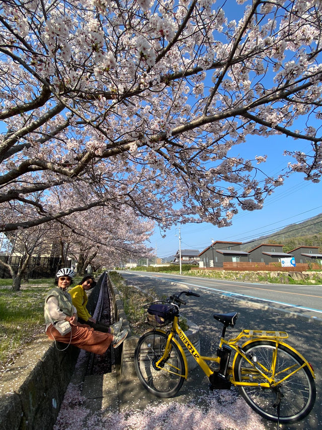 島波海道-尾道到今治的自行車道