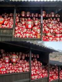 大阪勝尾寺🧧人氣祈福🙏，打卡寺院
