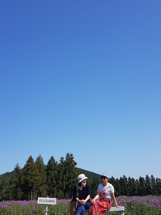 ☕️ “들판 한가운데 내 마음까지 쉬어가는 곳 – 제주 보름왓 카페”