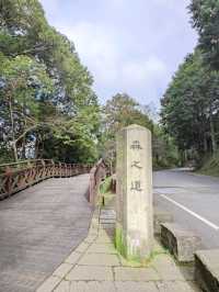 # 阿里山國家森林遊樂區-嘉義縣阿里山鄉