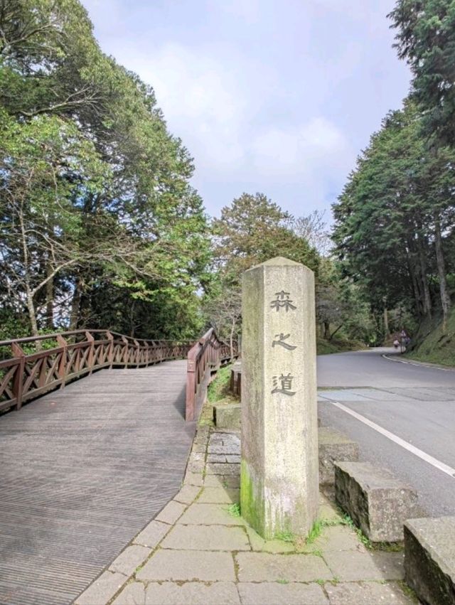 # 阿里山國家森林遊樂區-嘉義縣阿里山鄉
