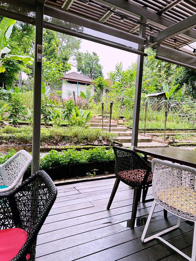 A Wholesome Weekend Brunch Escape at Open Farm Community 🌿🍽️