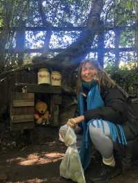 Visit Winnie the Pooh Park, Hartfield 🏴󠁧󠁢󠁥󠁮󠁧󠁿