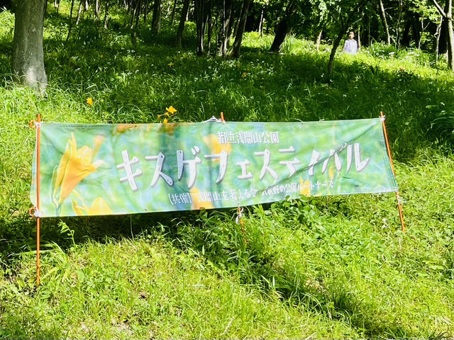 【東京府中】ここにしか生息しないムサシノキスゲ