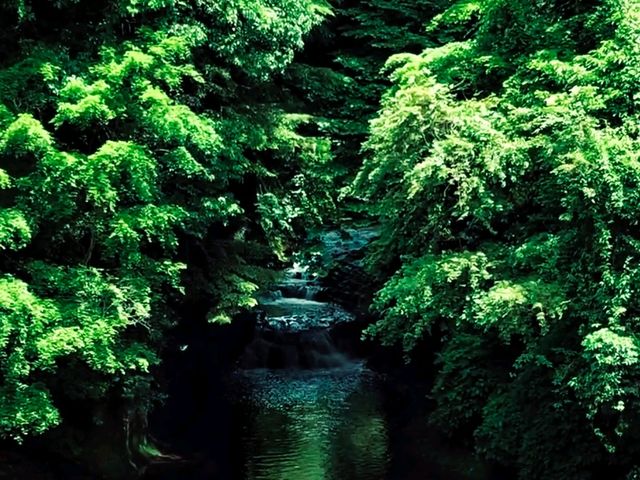 Kameiwa Cave อุโมงค์คะเมะอิวะ 