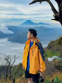 Dongjava