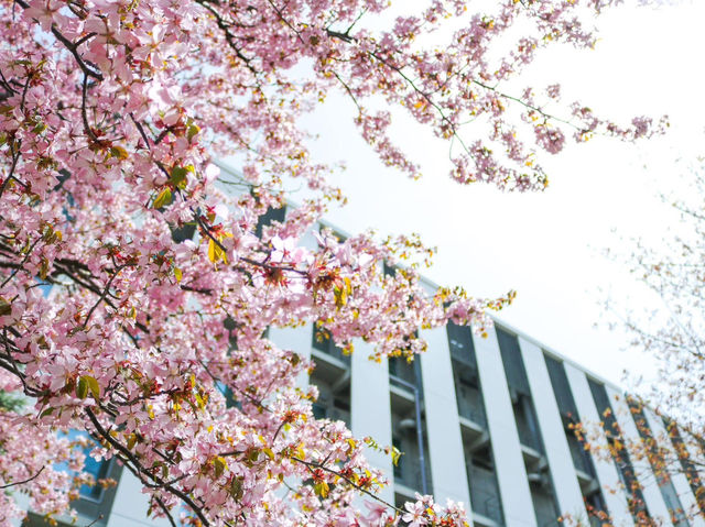 “The Scholar’s Garden: Hokkaido University in Bloom” 