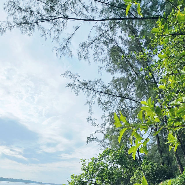 Rustic Retreat: A Day at Coney Island 🇸🇬