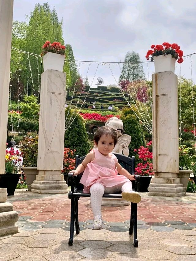 Title: Pinnacle Land – A Springtime Floral Escape in Asan