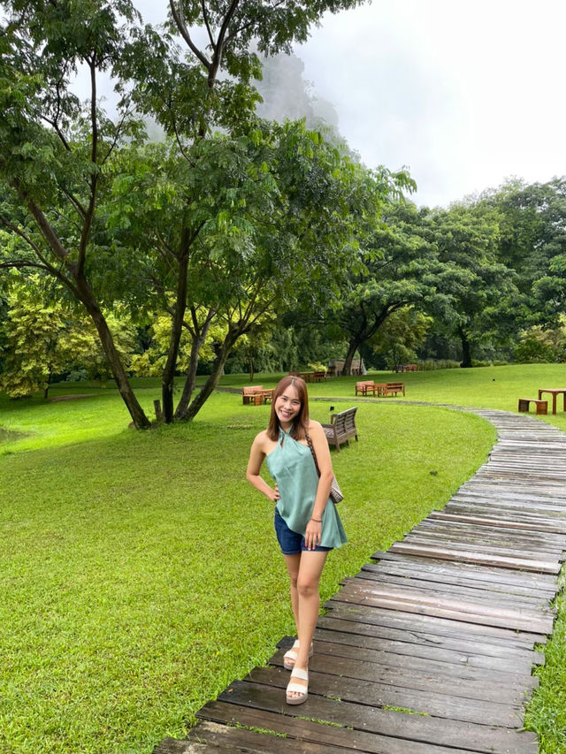 Mulberry Mellow เขียวขจีหลังฝนตก