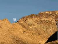 Death Valley Wildflowers – Death Valley, CA