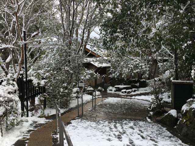 Ryokan Trip in Yufuin and Beppu, Oita