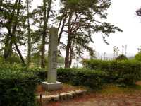 Amanohashidate in Spring