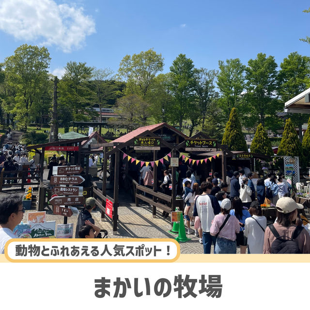 【静岡】ここだけは押さえたい人気観光スポット5選✨
