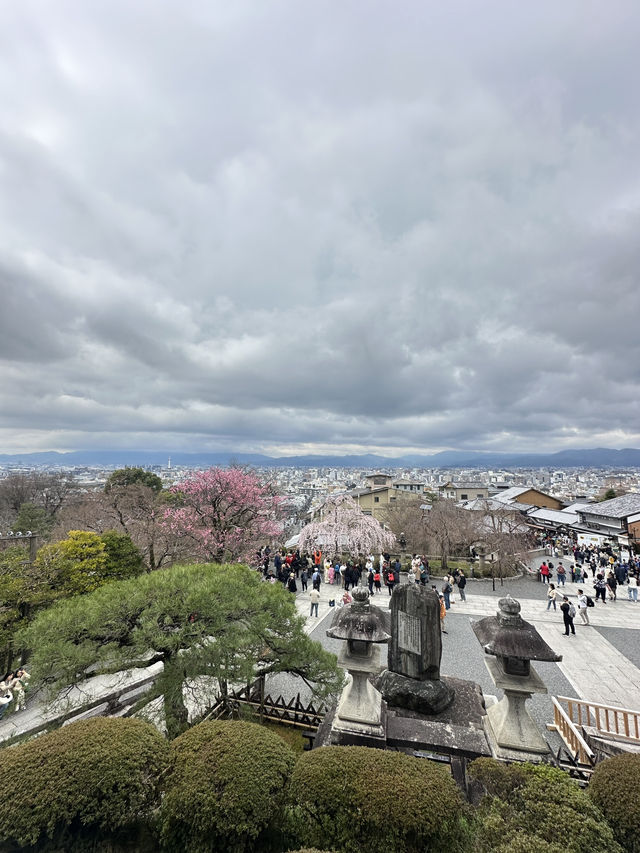 พาเที่ยววัดคิโยะมิซุ (วัดน้ำใส) เมืองเกียวโต ⛩️