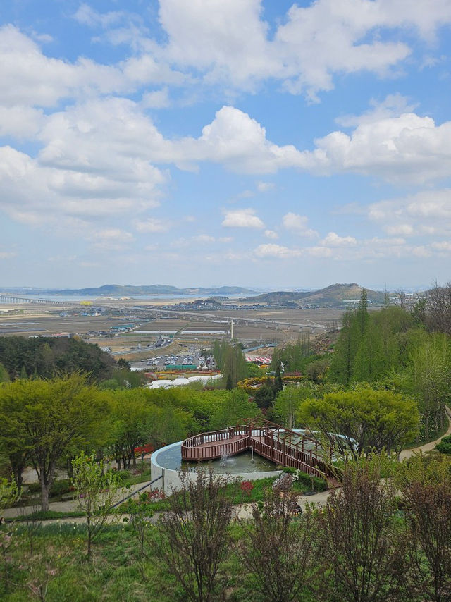 🌷가족과 함께 아산 꽃놀이 피나클랜드 