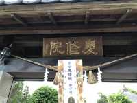 吉安慶修院｜花蓮最完整的日式寺院，漫步江戶風庭園的靜謐時光