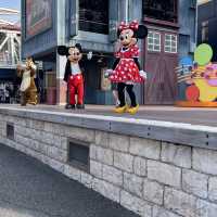 【🇯🇵東京】東京ディズニーリゾート