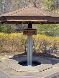 【栃木】鬼怒川温泉だけじゃない!!超穴場癒されスポット