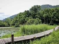 🌿 Thale Ban National Park: A Backpacker’s Guide to Southern Thailand’s Emerald Secret! 