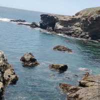 Point Lobos State Natural Reserve – Carmel-by-the-Sea, CA