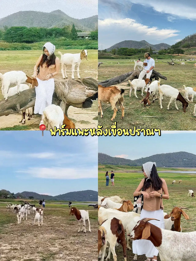 หัวหิน-ปราณฯ 🏝 ฉบับ พักผ่อนแต่ยังได้รูป! ✨