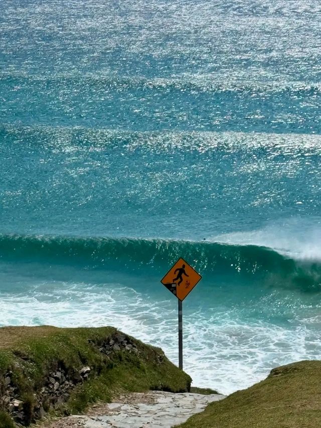 Dingle Days – Where the Wild Atlantic Meets Irish Soul