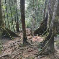 Hiking Feels, Sabah. Worth the Sweat
