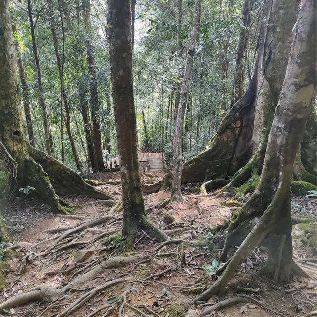 Hiking Feels, Sabah. Worth the Sweat