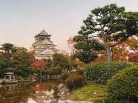 Vibrant Osaka: Japan’s Culinary and Cultural Powerhouse