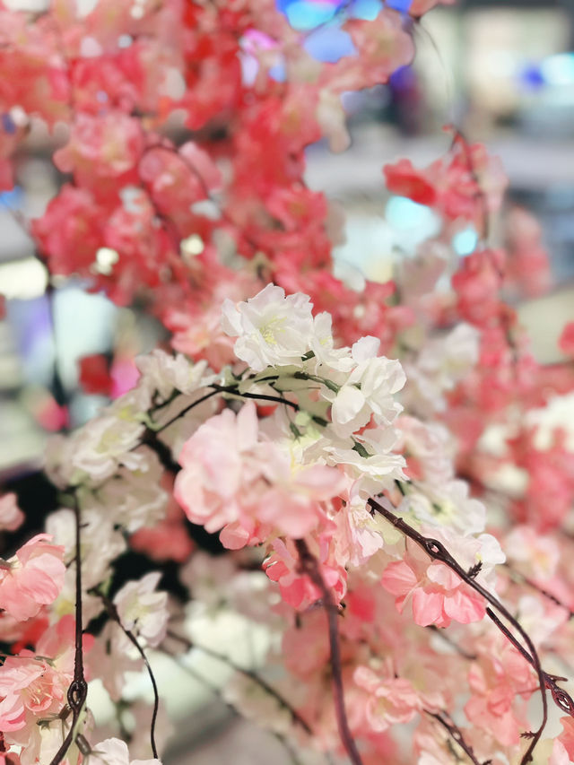 Sunset Petals at Akashi Park
