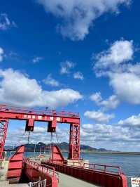 A Slow Day in Imabari – Castles, Seaside Snacks & Setouchi Breeze